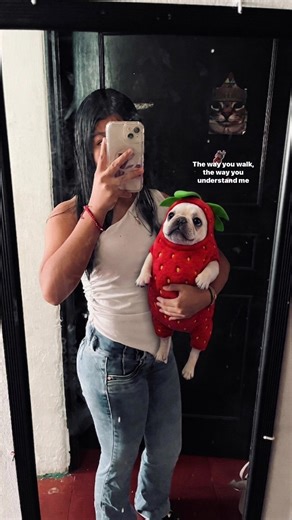 🦭🫰🏻 #pibble #fypシ゚ #foryou #paratiiiiiiiiiiiiiiiiiiiiiiiiiiiiiii #pibblelove