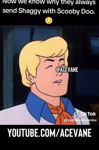 Scooby Doo Mysteries #fred #daphne #velma #freakoff #aintnomystery | acevane scooby doo