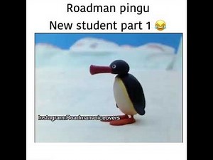 Roadman Pingu new student part 1 🤣