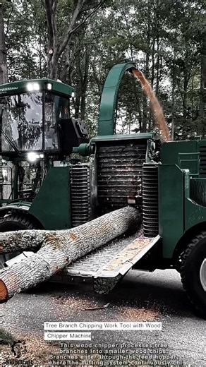 Tree Branch Chipping Work Tool with Wood Chipper Machine #worktool