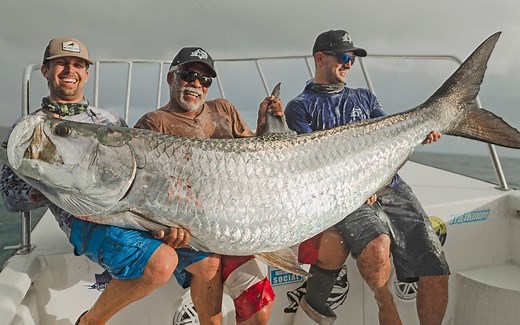 【渔家大师】BlacktipH-钓到有史以来最大的海鲢！！！