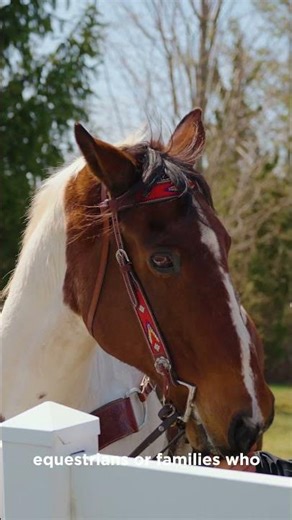 52 Pineswamp Road, Ipswich