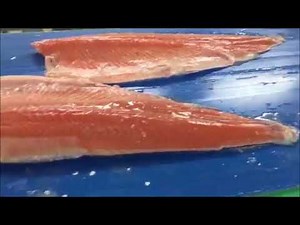 Marel MS 2730 Filleting machine for salmon