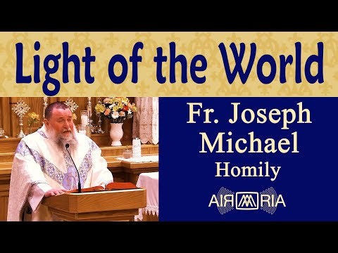 Bringing Christ's Light to a Dark World - Feb 02 - Homily - Fr Joseph Michael