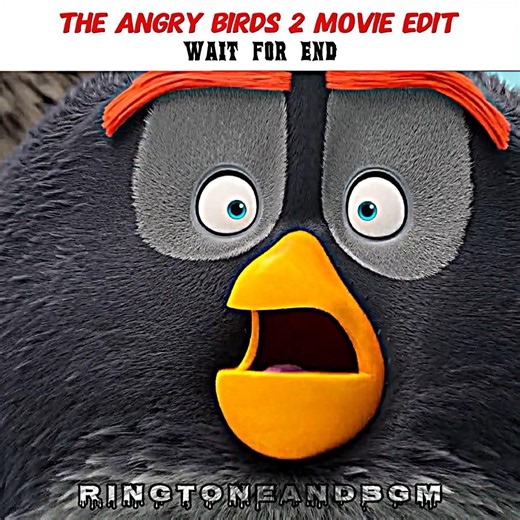 "Bomb funny moment"] 😂 The Angry Birds 2 Movie Edit #movie #shorts #edit