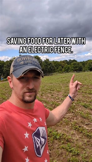 Are deer putting a hurting on your food plot and leaving nothing for hunting season? Might be worth trying an electric fence to keep the deer out until you want them in the food plot. Have you ever put an electric fence around a food plot? #bowhuntordie #hunting #bowhunting #foodplots | Bowhunting.com