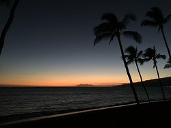 Intermediate Workflow