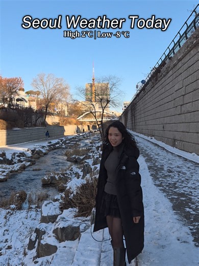 The weather in Seoul today was perfect! It was snowing in Seoul and the neighbouring areas yesterday and there was a bit of snow left despite being very sunny in Seoul today. I enjoyed walking around in Seoul and this is my winter outfit for today. 🙊 Although I grew up in a tropical country, I'm not very sensitive to the cold so my layering during the Korean winter is typically like this. For today my winter layering was : regular heattech cami top knit top fluffy skirt (I got it from my goto u