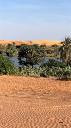 Exploring Tulo-Tulo Oasis in Yusufari, Yobe State