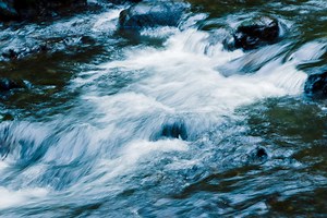 Global environmental management system | IBM