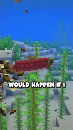 Minecraft, But I Switch Every Time...