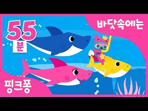 바닷속에는 | +모음집 | 상어가족과 바다 동물 친구들이 살아요🐳 | 핑크퐁과 함께 바다 탐험 | 아기상어, 상어 버스, 돌고래 외 | 바다 동물 동요 | 핑크퐁! 인기동요