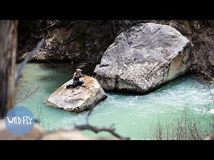 Exploring High Alpine Streams During Runoff (Fly Fishing & Camping Utah)