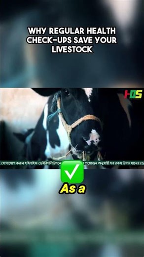 Why Regular Health Check ups Save Your Livestock