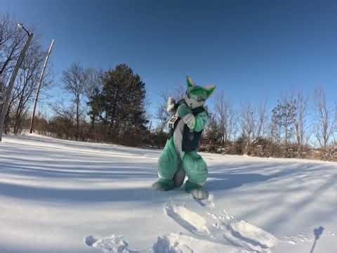 Monty Mint in the snow