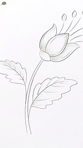 Easy flower pencil sketch #drawing #pencilsketch | Drawing Book