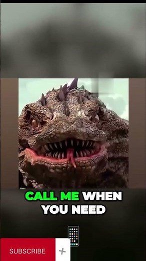 Amazing animal transformations | Watch animals morph into different shapes