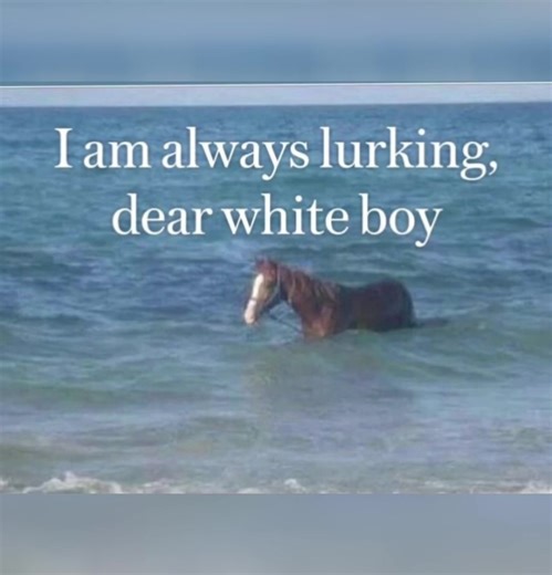 What are the best toppings to put on a burger? #fyp #music #horse #burger