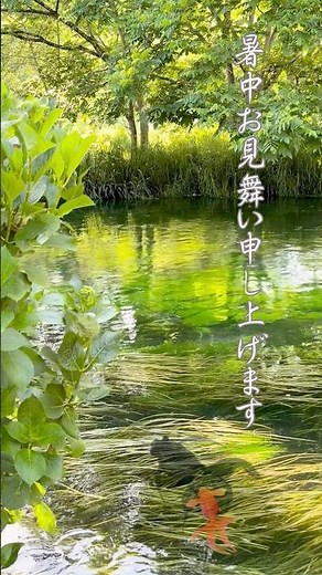 【暑中見舞い動画】 #lineで送れる #グリーティングカード