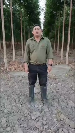 Videos de El Afro Paraguayo (@el.afro.paraguayo) con “sonido original - El Afro Paraguayo”