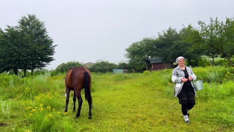 Fresh Milk And Traditional Cheese! A Delicious Story From The Village Of Azerbaijan