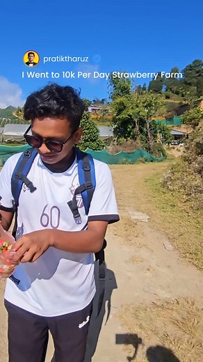1.7K views · 18 reactions | I went to 10k Per Day Strawberry Farm Business in Nepal  | Pratik Chaudhary | Facebook