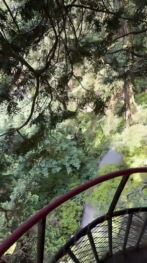 14K views · 625 reactions | Something fun to do in the redwoods❤️ #TreesOfMystery #RedWoods #redwoodsnationalpark #redwoodnationalpark #NationalPark #AmericaTheBeautiful #AmericanRoadTrip #CaliforniaRoadTrip #Travel #TravelCouple #R#RedwoodTrees#Trees#Forest#CaliforniaN#NorthernCalifornian#norcal | Hickman Isaac | Facebook