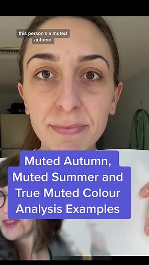 Exploring Muted Color Palettes: Examples and Analysis