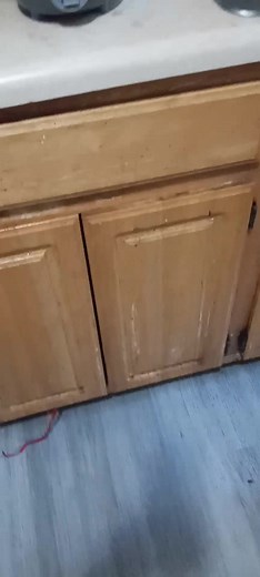 Daisy Rodriguez on Reels