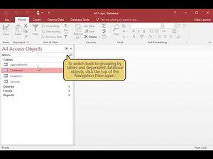 Access Chapter 1 Organizing Objects in the Navigation Pane 4