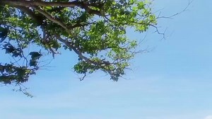 48 reactions · 5 comments | In every problem there is certainly a...