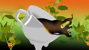 Decent Coffee Will Be Hard to Find by 2050