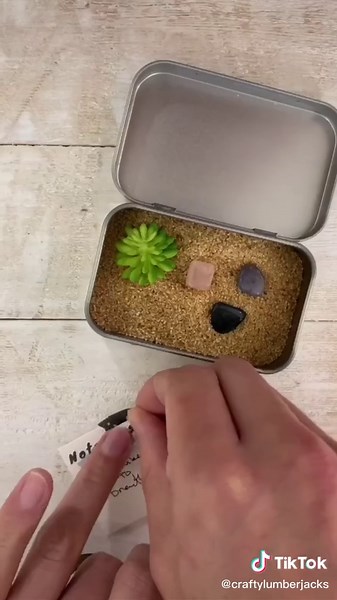 DIY Zen Garden Tutorial for Relaxation and Productivity