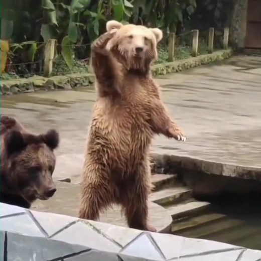 top5memesyt TikTok'ta