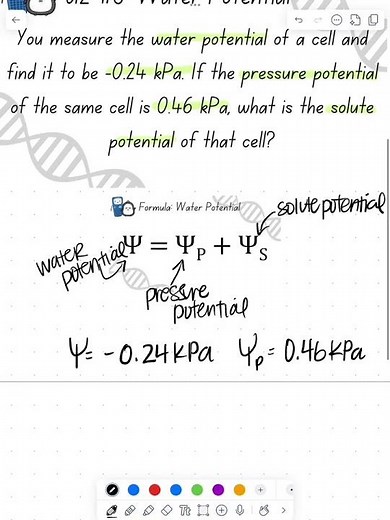 MM91: AP Bio Math Minute: Water Potential
