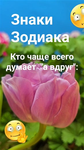 Кто чаще всего думает "а вдруг" / Эзотерика Гороскоп Астрология Знаки Зодиака