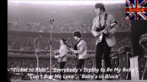 WATCH: The Beatles Shea Stadium, 1965 #thebeatles #johnlennon #paulmccartney #georgeharrison #ringostarr | BEATLES MAGAZINE