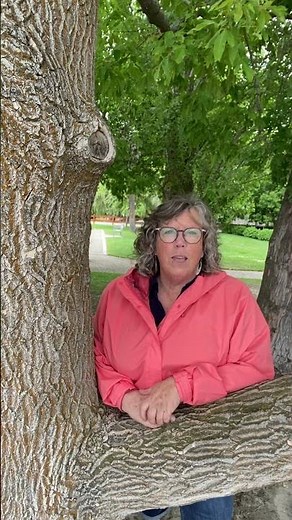 Zone of Proximal Development Examples in the Classroom #vygotskyzpd