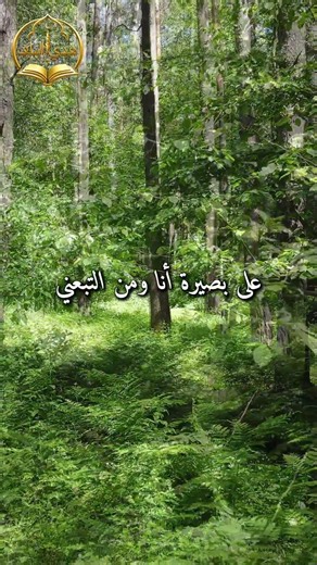 ﴿ تلاوة خاشعة من سورة يوسف ﴾ بصوت يلامس القلب 🌿
