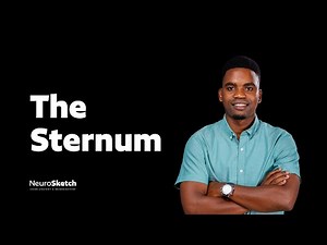 The sternum: understand anatomy of the breast bone 🦴