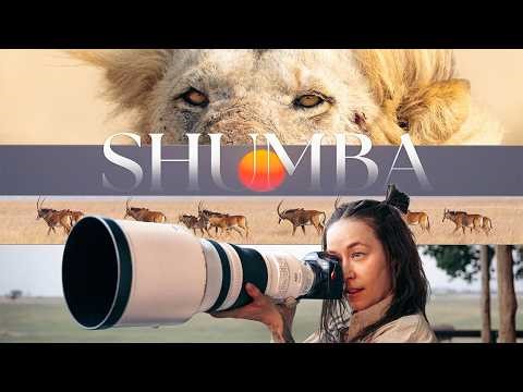 I Slept at a Safari Camp Surrounded by Lions | Zambia’s Busanga Plains