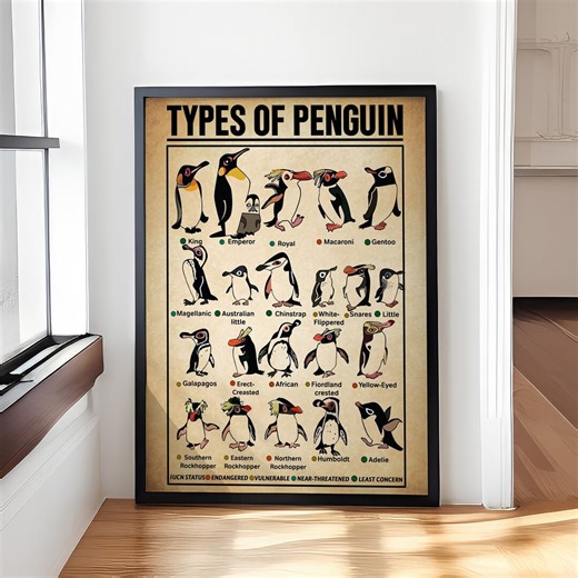 Types of Penguin Poster or Canvas – Educational Penguin Art Print for Home Wall Decor, Penguin Lover Gift, Classroom or Study Room Display - Etsy