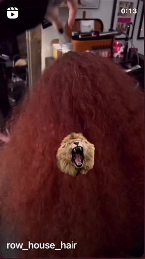 Jackie Richardson (@zerotimesystem)’s videos with original sound - Jackie Richardson