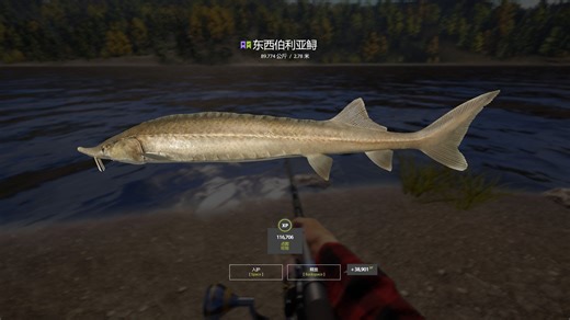 【俄罗斯钓鱼4】360大战89KG东子