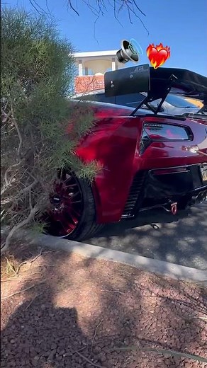 ZO6 sounds like a Monster supercar killer?? Lmk! #corvette #chevrolet #zo6 #race #car #amazing #fast