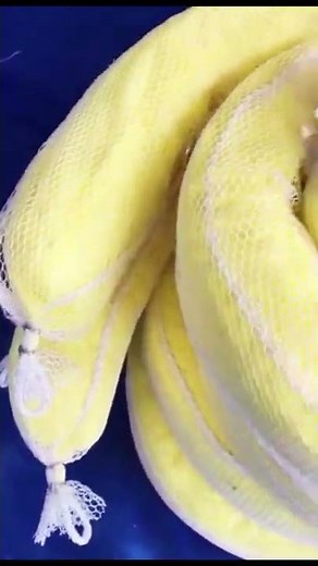 What is the purpose of a chemical spill kit