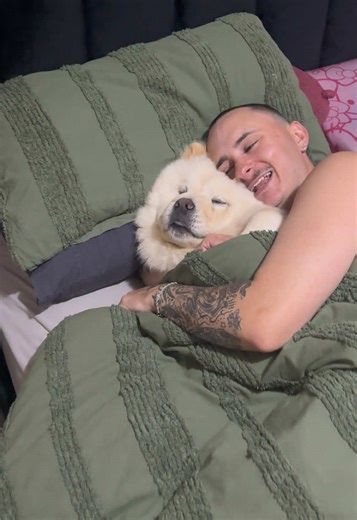 Understanding Chow Chows: Myths About Their Behavior