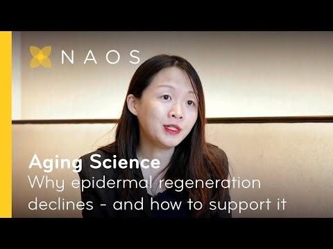 Why epidermal regeneration declines — and how to support it | NAOS