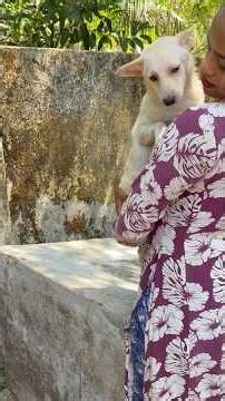 കുളിസീൻ കാണാം ❤️#shortvideo