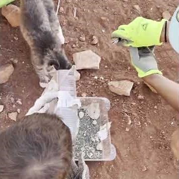 Lake Powell Spring Break Trip 2021